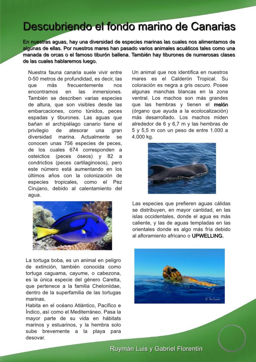 9-Descubriendo el fondo marino de Canarias-página001